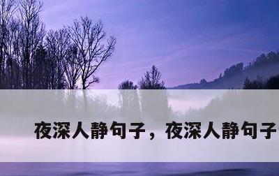 夜深人静句子，夜深人静句子说说
