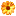 ProFlowers