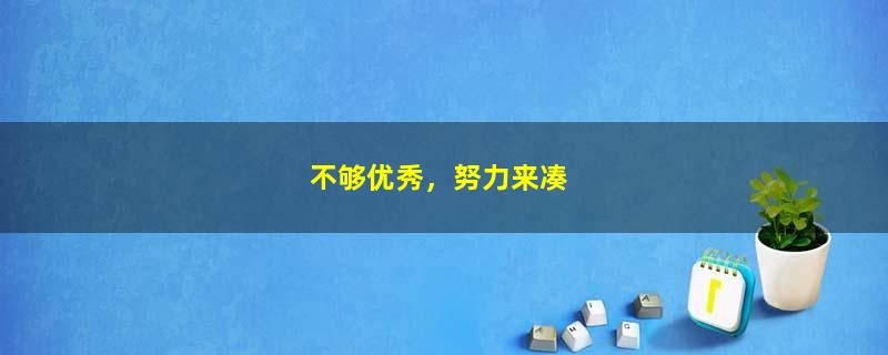 不够优秀，努力来凑