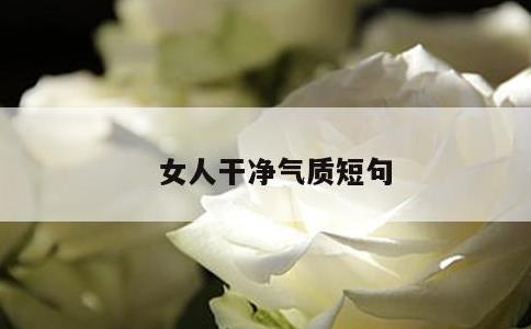 女人干净气质短句