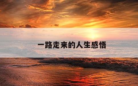 一路走来的人生感悟