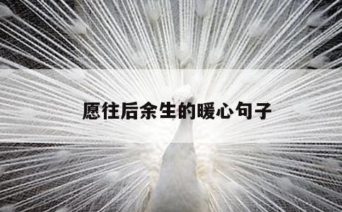 愿往后余生的暖心句子