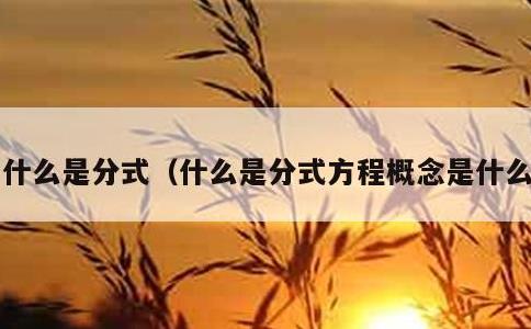 什么是分式，什么是分式方程概念是什么