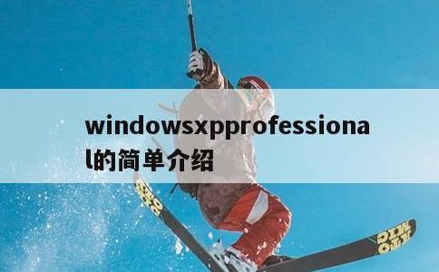 windowsxpprofessional的简单介绍
