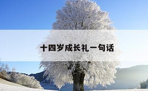 十四岁成长礼一句话