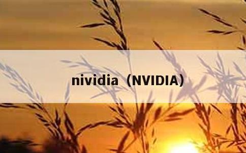 nividia，NVIDIA