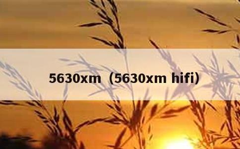 5630xm，5630xm hifi