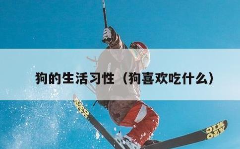 狗的生活习性，狗喜欢吃什么